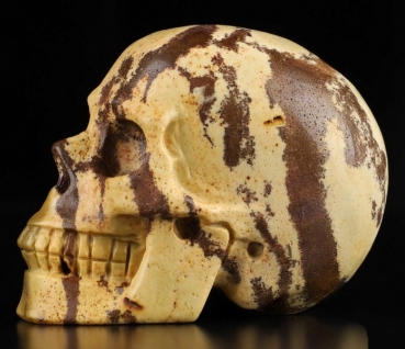 Outback Jasper Skull